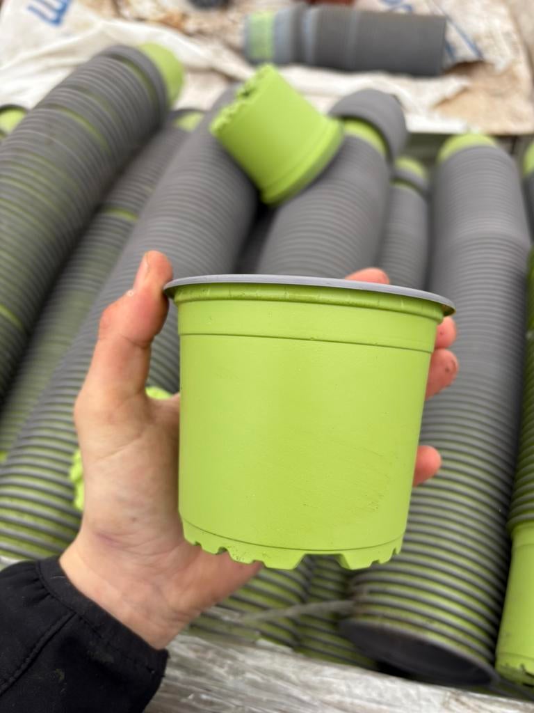 Kweekpotjes 10,5cm, Ophalen