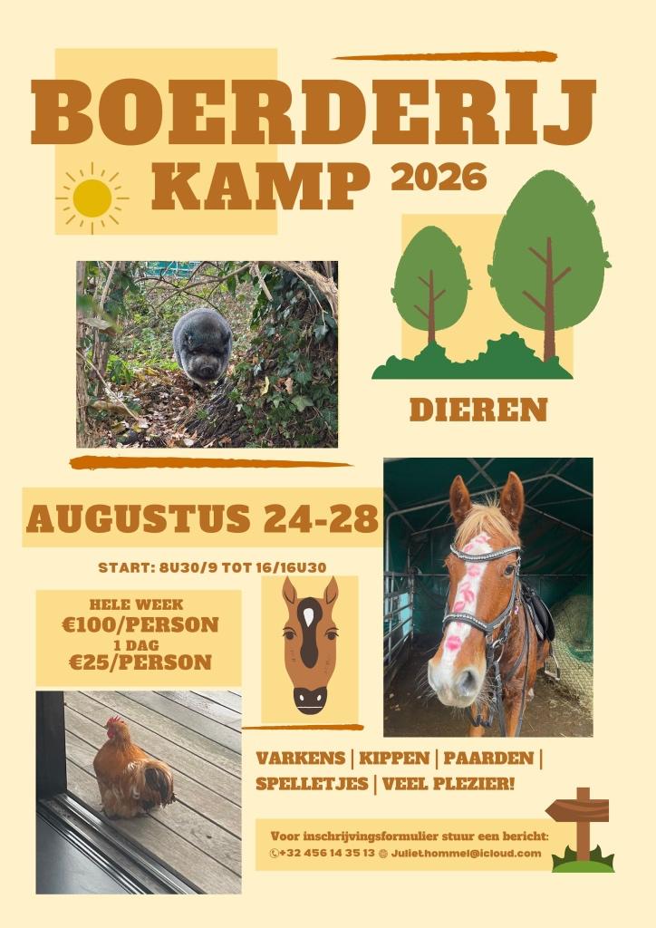 Boerderijkamp (nog plaats op maandag dinsdag en woensdag), Dieren en Toebehoren, Ophalen, Nieuw, Overige soorten