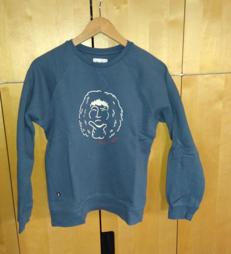 Sweater leeuw 12j, Garçon ou Fille, Enlèvement ou Envoi, Comme neuf, Pull ou Veste