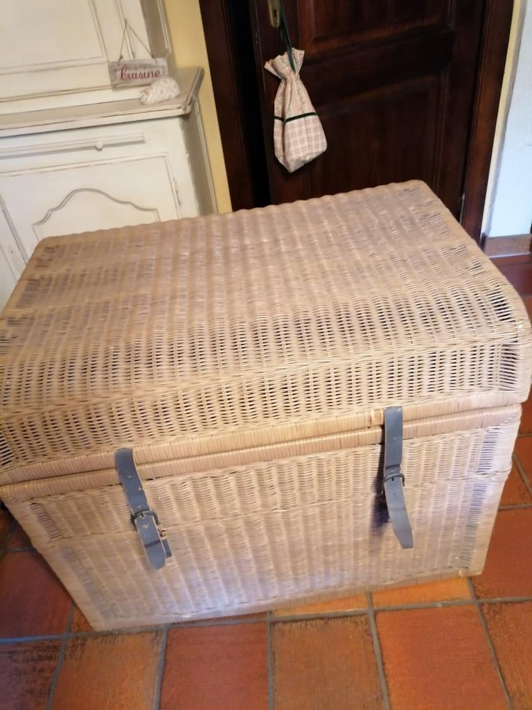 rotan, 50 à 100 cm, Enlèvement, Utilisé, 50 à 75 cm