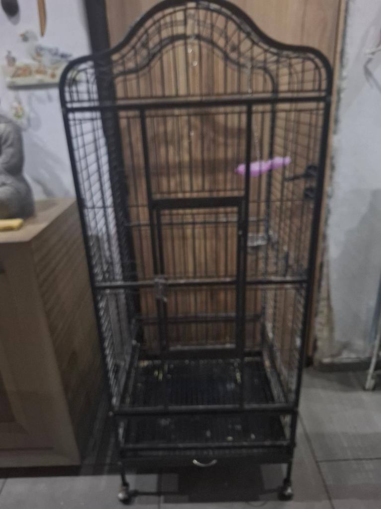 Cage perroquet, Enlèvement, Utilisé, Aluminium, Cage à oiseaux