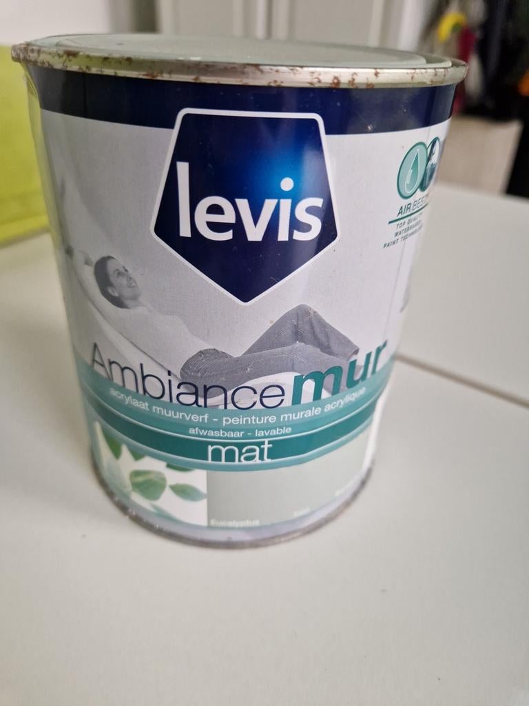Mur Levi's Ambiance couleur eucalyptus, Bricolage & Construction, Enlèvement, Comme neuf