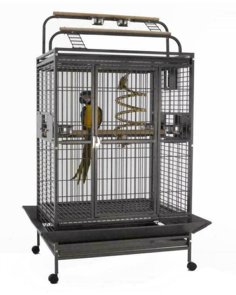 Cage perroquet XXL ara amazone cacatoes cage gris gabon NEUF, Animaux & Accessoires, Envoi, Neuf, Métal, Autres types