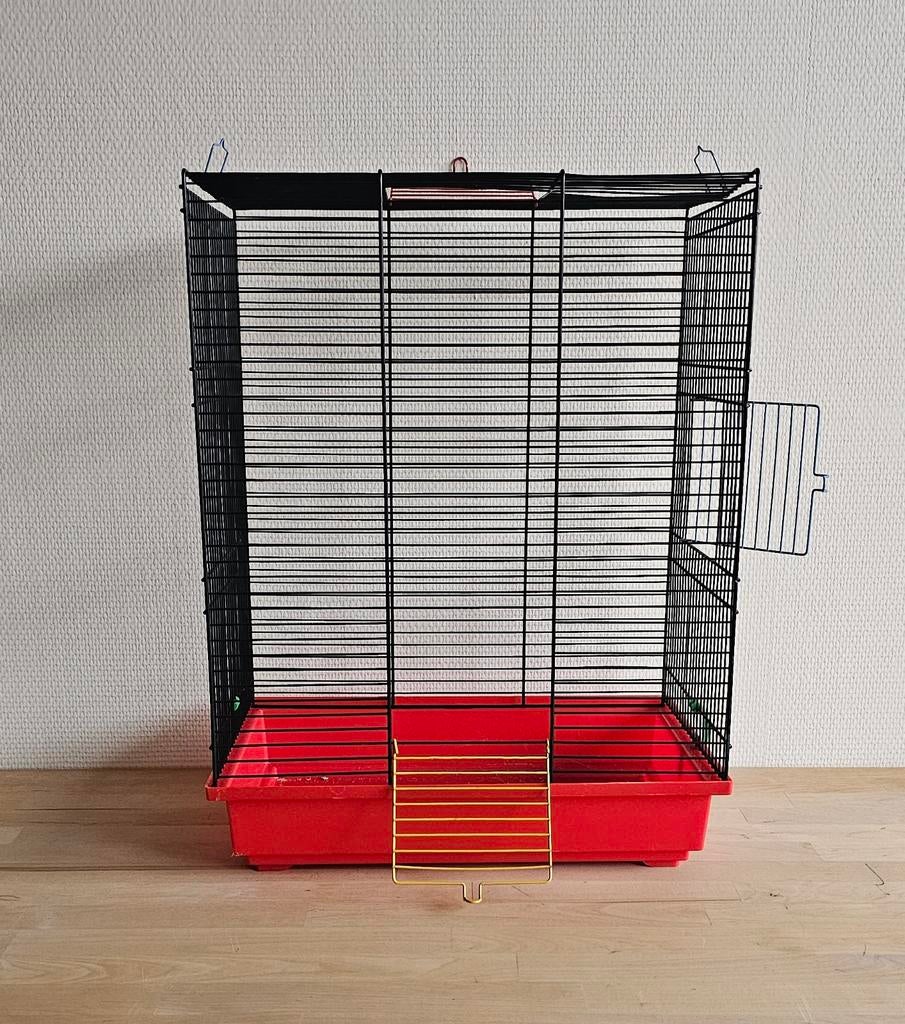 Hamsterkooi of vogelkooi, Kooi, Muis, Ophalen, Minder dan 60 cm