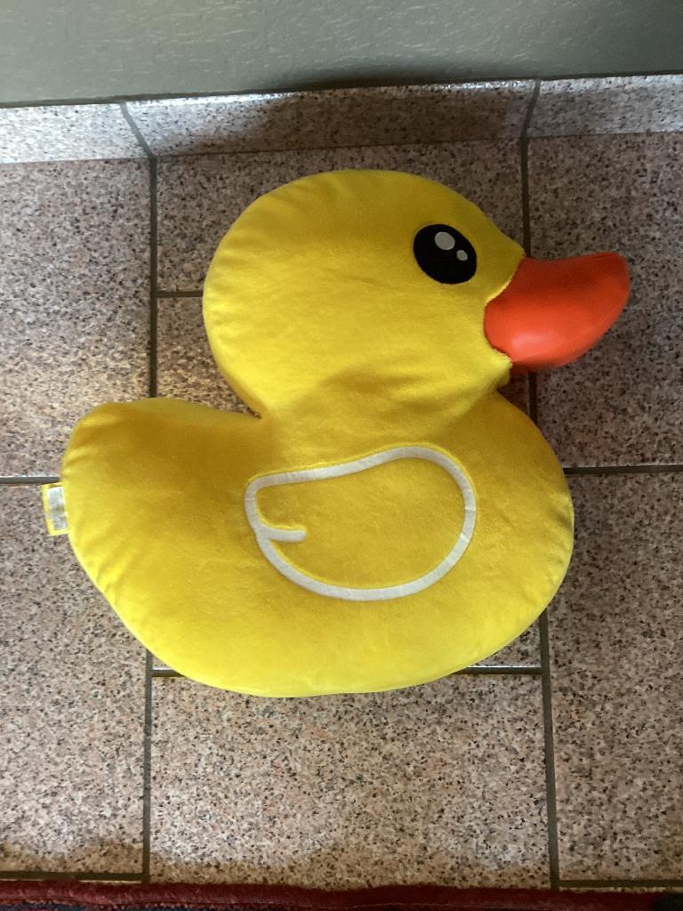 Eend 40x40, Ophalen, Eend