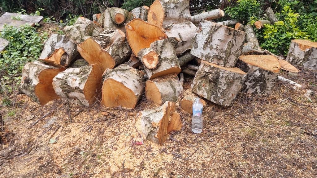 Bois de chauffage, Enlèvement