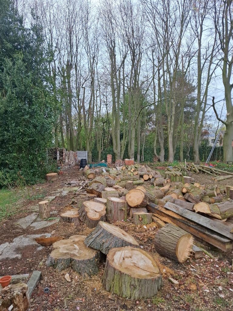 stookhout, Neuf, 50 mm ou plus, Moins de 200 cm, Enlèvement