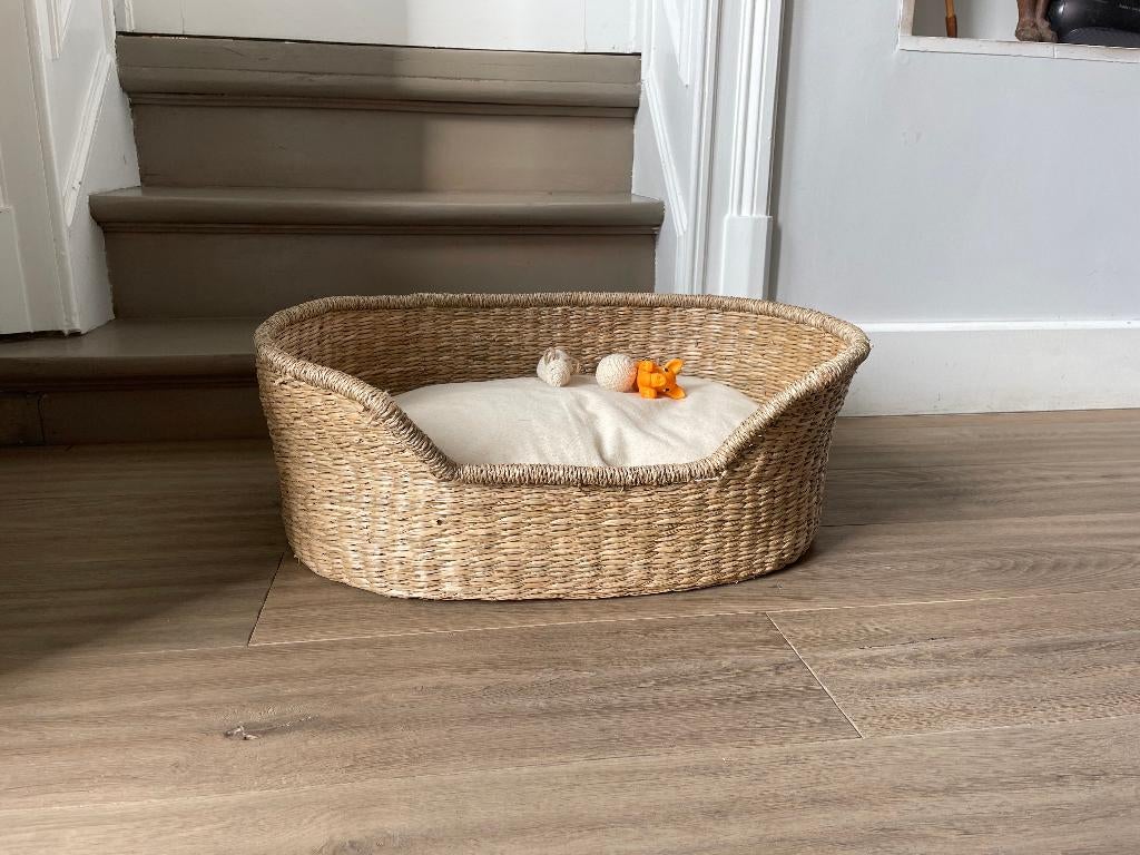 panier pour chien, Enlèvement, Neuf