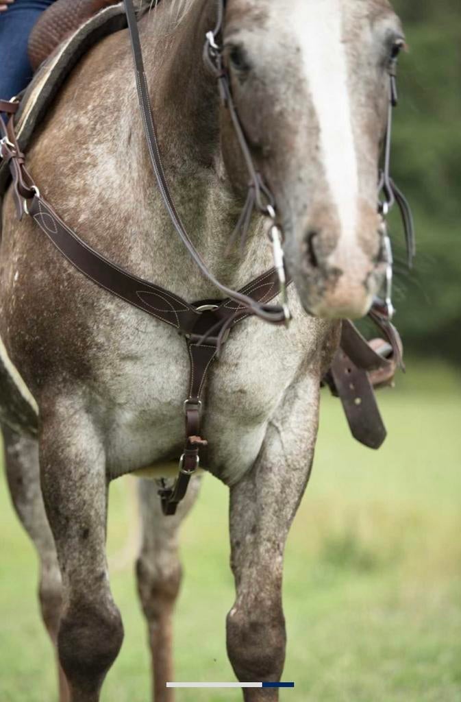 Western jachthalsband (bruin), Dieren en Toebehoren, Paarden en Pony's | Hoofdstellen en Tuigage, Ophalen