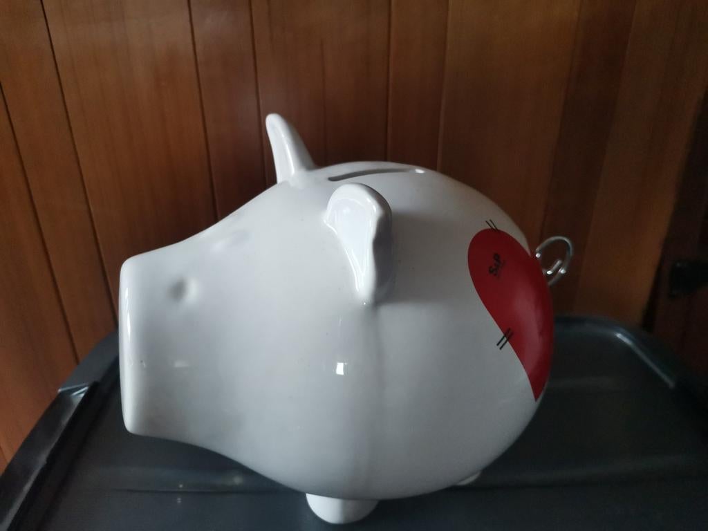 Spaarvarken Salt & Pepper, Ophalen of Verzenden