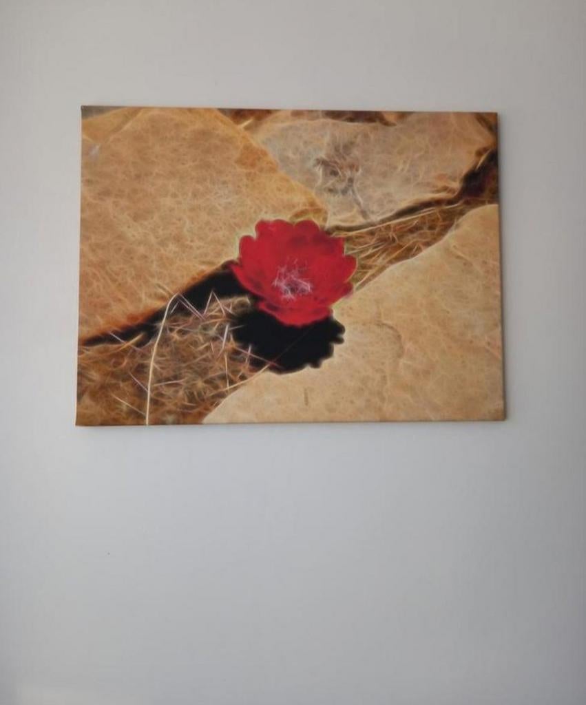 Cadre déco, Antiquités & Art, Enlèvement