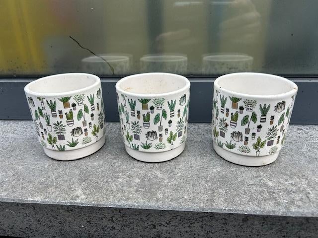 Pot de fleurs pour cactus ou succulentes, Jardin & Terrasse, Enlèvement ou Envoi