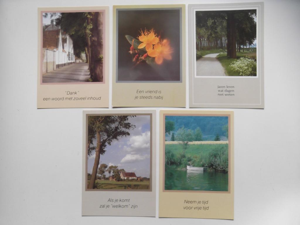 Wenskaarten met spreuken 1, Ophalen of Verzenden, Zo goed als nieuw