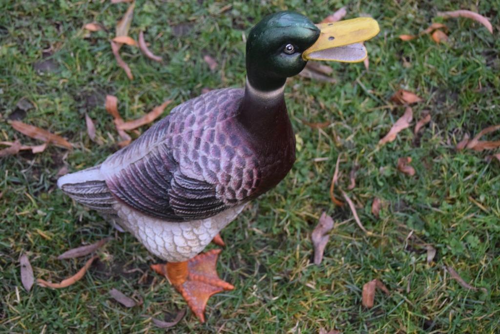 Schitterende gepatineerde gietijzeren eend (de wilde eend), Ophalen of Verzenden, Nieuw, Overige materialen, Dierenbeeld