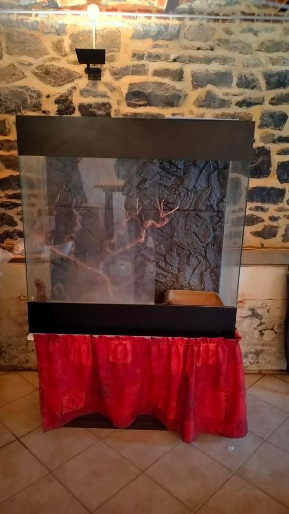 Terrarium, Enlèvement