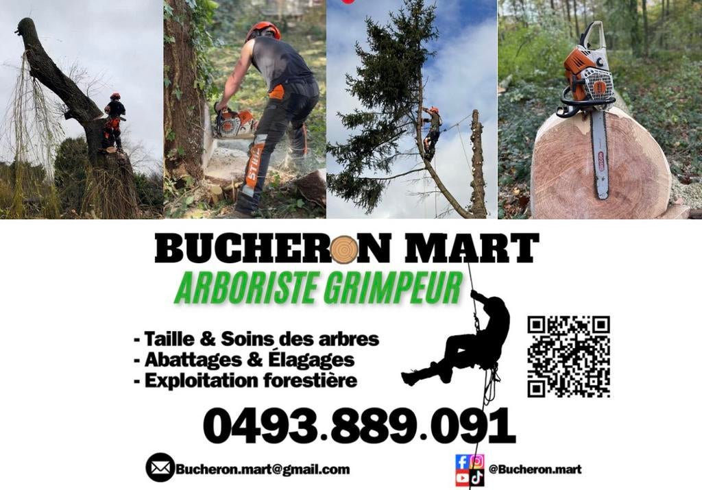 Jardinier grimpeur élagueur DEVIS GRATUIT, Enlèvement