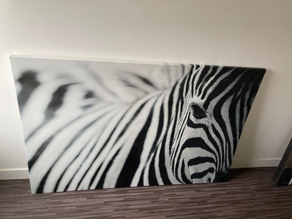 canvas pjatteryd zebra, Ophalen, Gebruikt, Print, 100 tot 125 cm