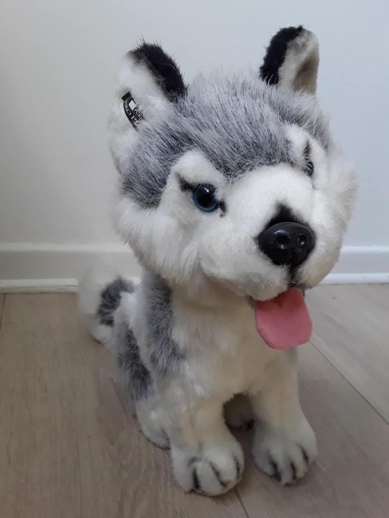 Peluche chien husky 35 cm, Enlèvement ou Envoi, Comme neuf, Chien