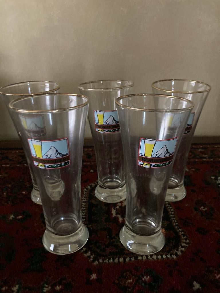 Bierglazen Bergenbier, Collections, Enlèvement, Comme neuf