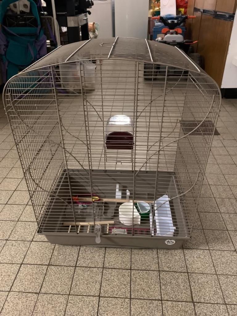 CAGE A OISEAUX (mandarins,...) ET ACCESSOIRES, Enlèvement, Utilisé, Métal, Cage à oiseaux