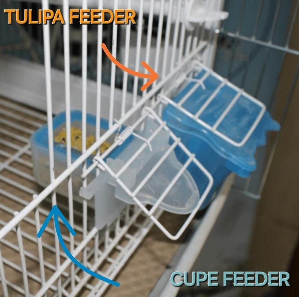 Cupe Feeder - Moldes Ave, Dieren en Toebehoren, Vogels | Toebehoren, Nieuw, Ophalen