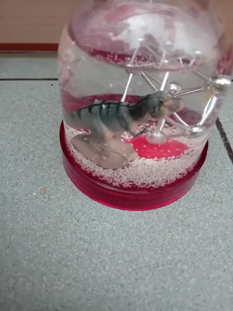 Boule à neige atonium, Collections, Enlèvement ou Envoi