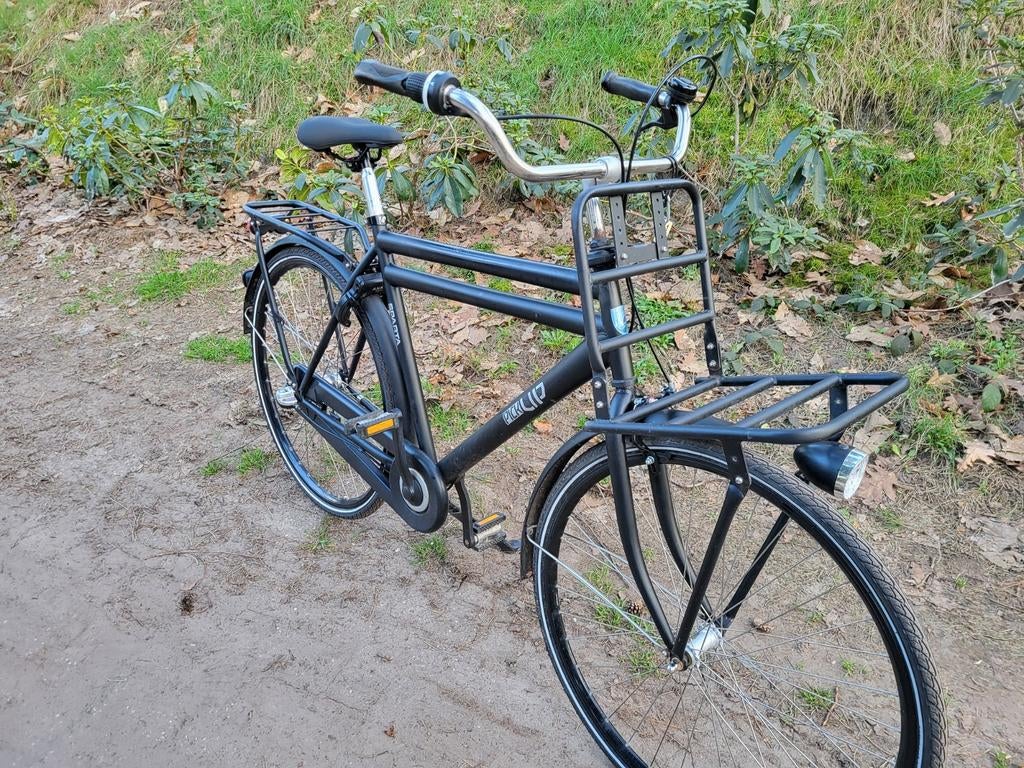 Transsport/bakkers of Opafiets SPARTA PICK UP, Fietsen en Brommers, Fietsen | Heren | Herenfietsen, Ophalen, Sparta, Versnellingen