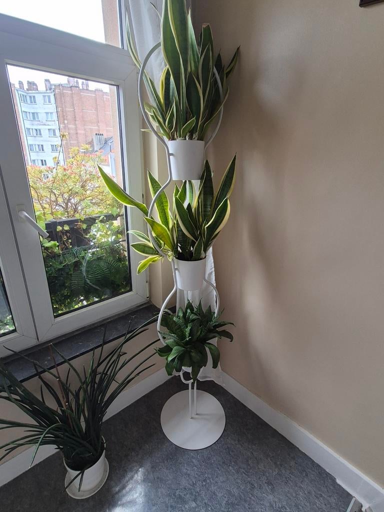 Set van 2 decoratieve plantenstandaards, Ophalen