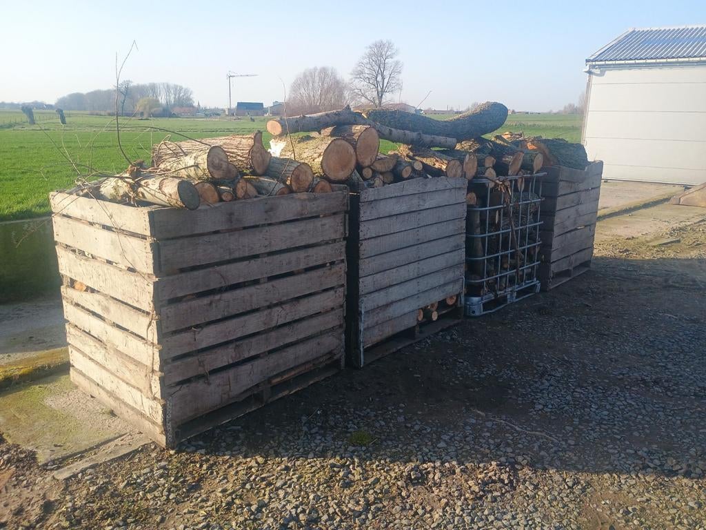 Brandhout wilg, Enlèvement