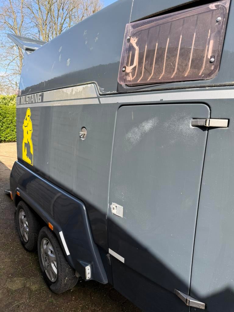 Mustang Allround, Dieren en Toebehoren, Paarden en Pony's | Trailers en Aanhangwagens, Ophalen, Gebruikt, Polyester, 2-paards trailer
