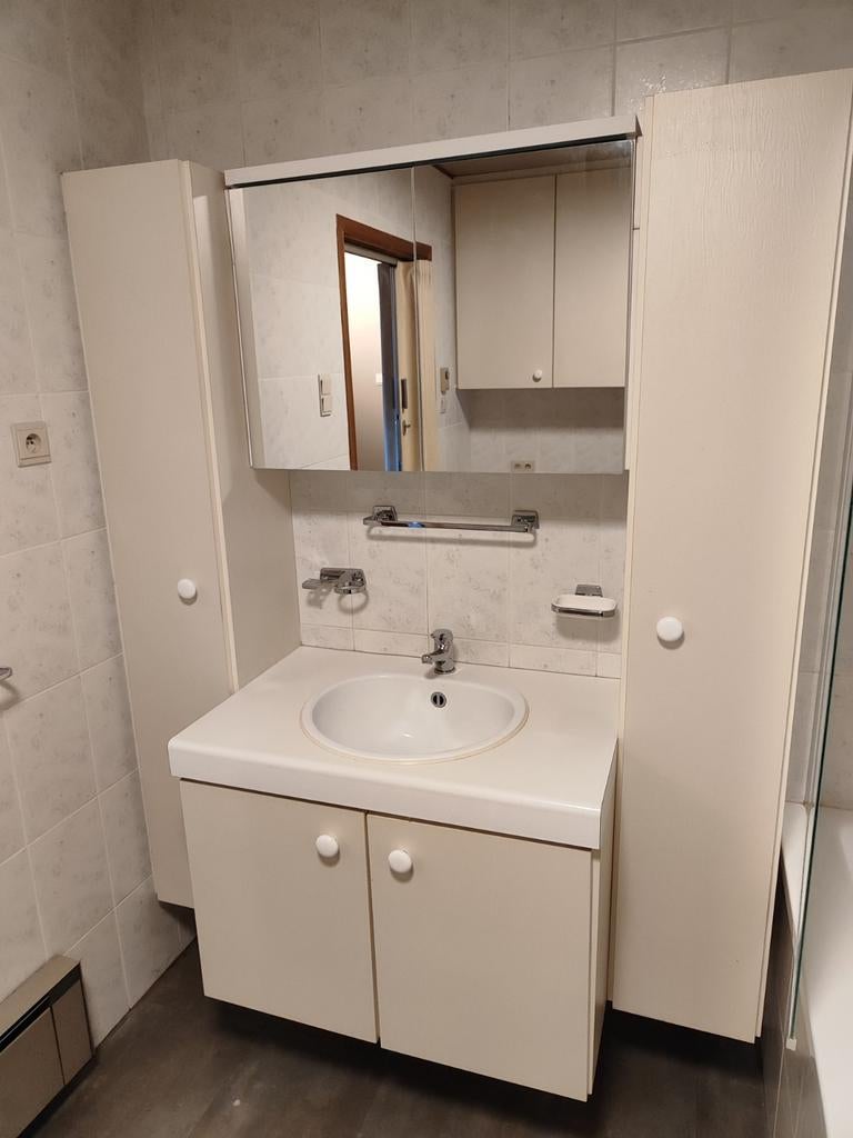 Lavabo, badkamermeubel en spiegelkastje, Ophalen