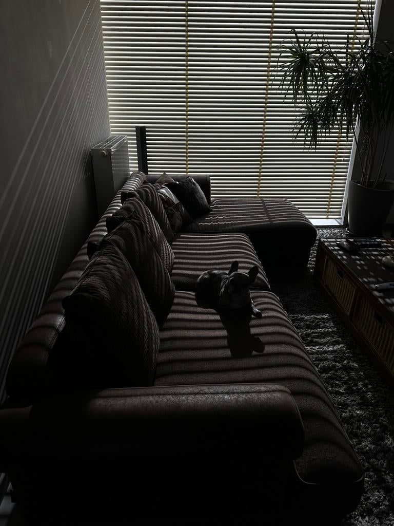 leren zetel van Natuzzi, model karma, bruin leer.3,20/1,60M, Ophalen, Zo goed als nieuw, Leer, Loung salon met links ligstuk