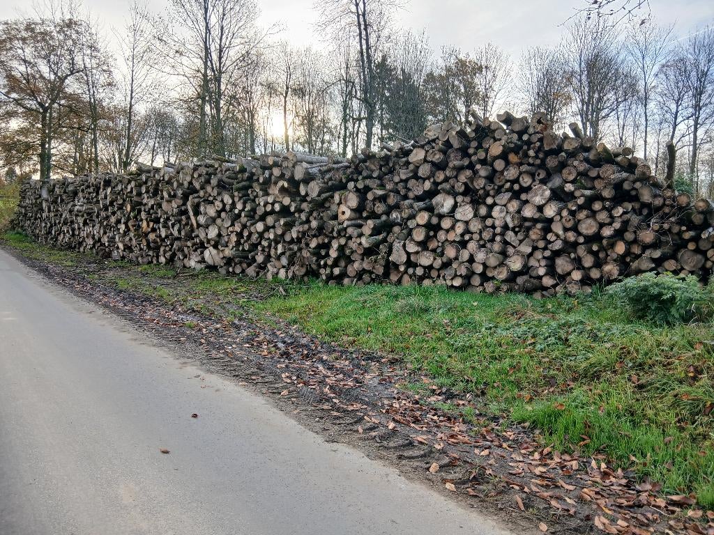 BOIS DE CHAUFFAGE SEC DE QUALITES TOUTE LANNEE!!!, Jardin & Terrasse, Poteaux, Poutres & Planches, Utilisé, Autres types, Bois dur