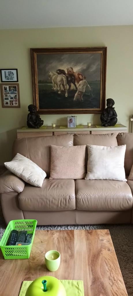 Mooie schilderij met Paarden  van in 1978, Ophalen