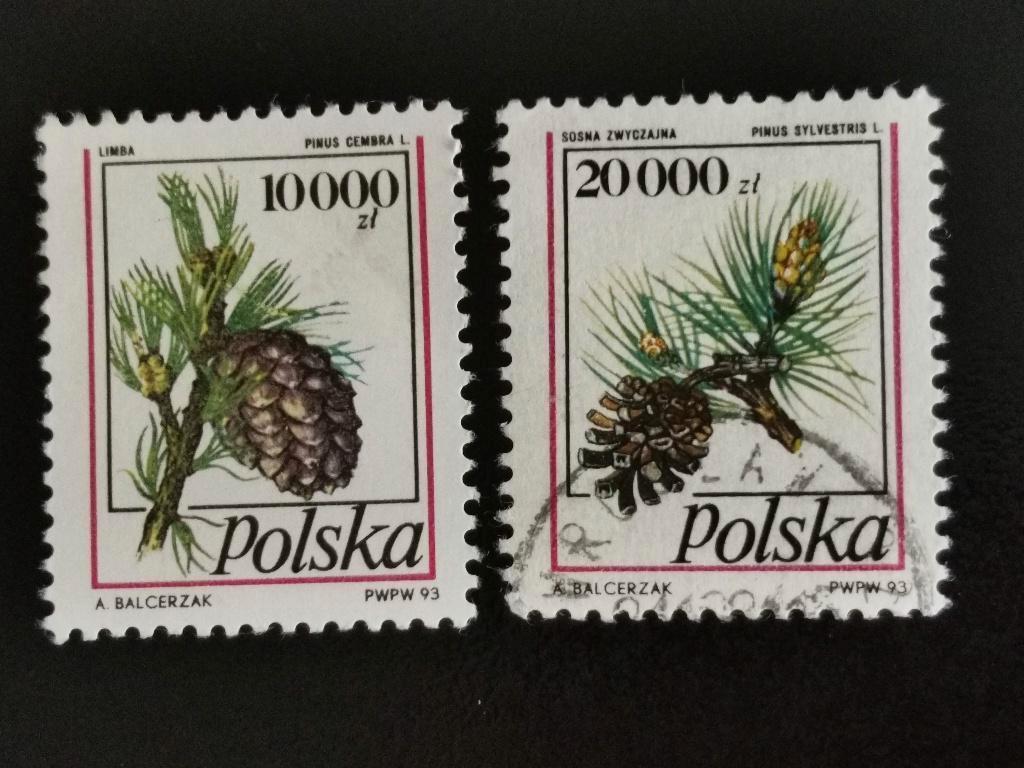 Pologne 1993 - flore, conifères, cônes, pommes de pin, Enlèvement ou Envoi, Pologne, Affranchi