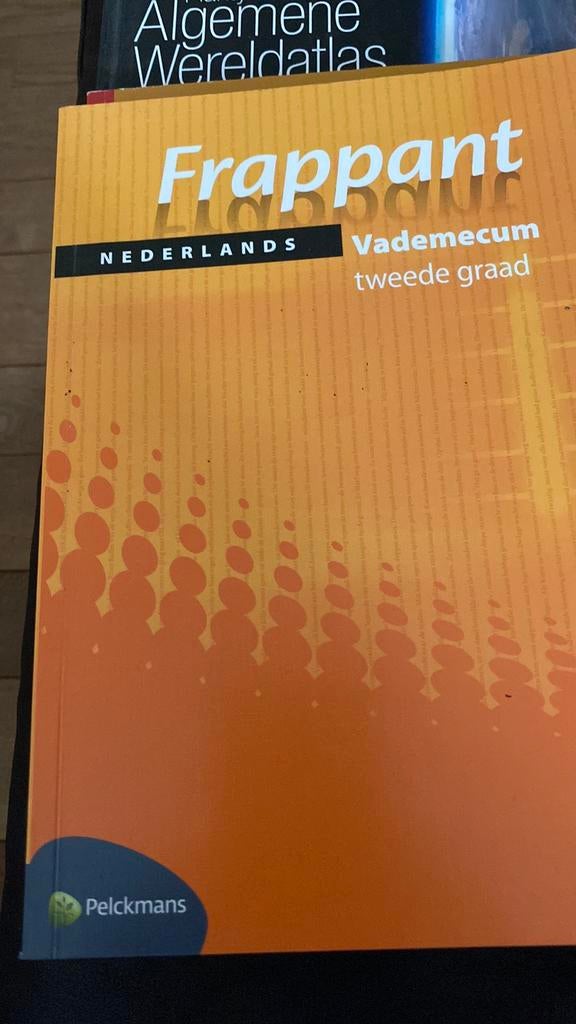 Frappant Nederland vademecum tweede graad, Boeken, Ophalen of Verzenden, Zo goed als nieuw