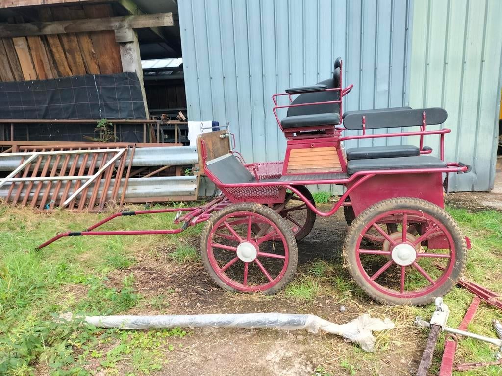 Marathonkoets, Comme neuf, Poney