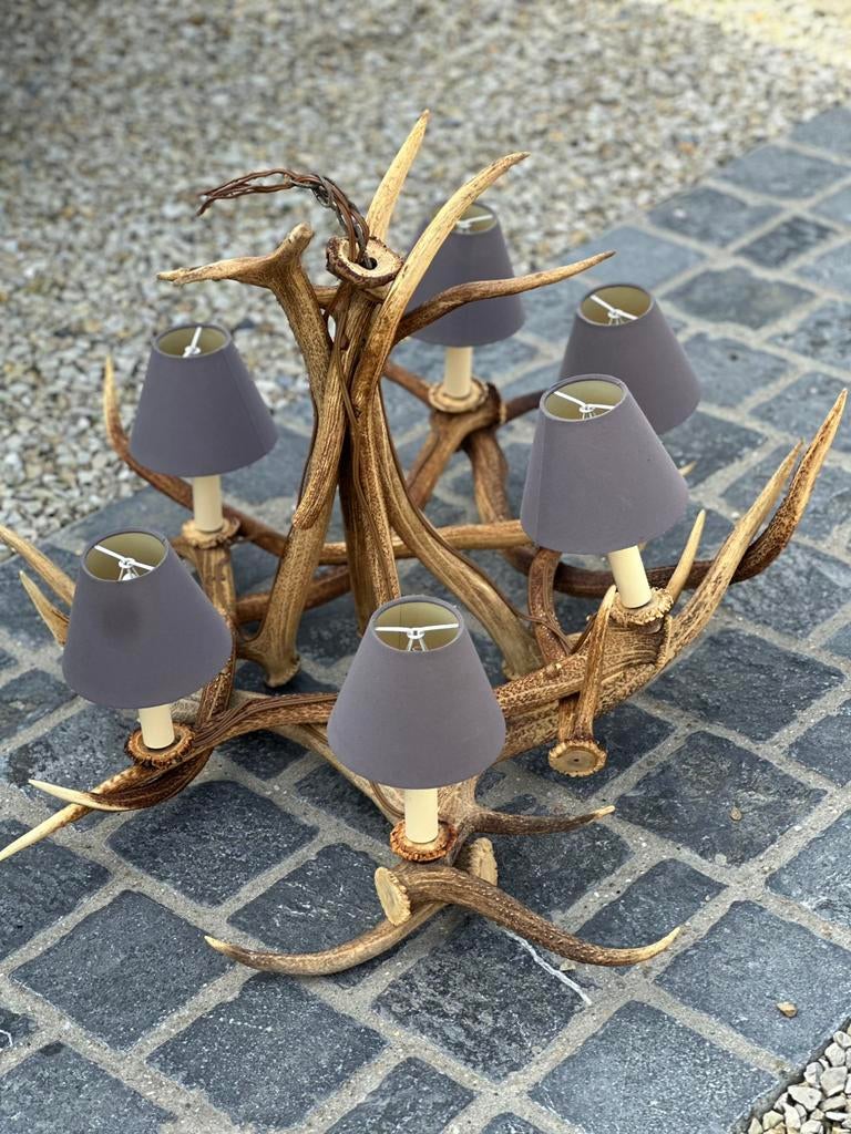 Gewei luster, Enlèvement