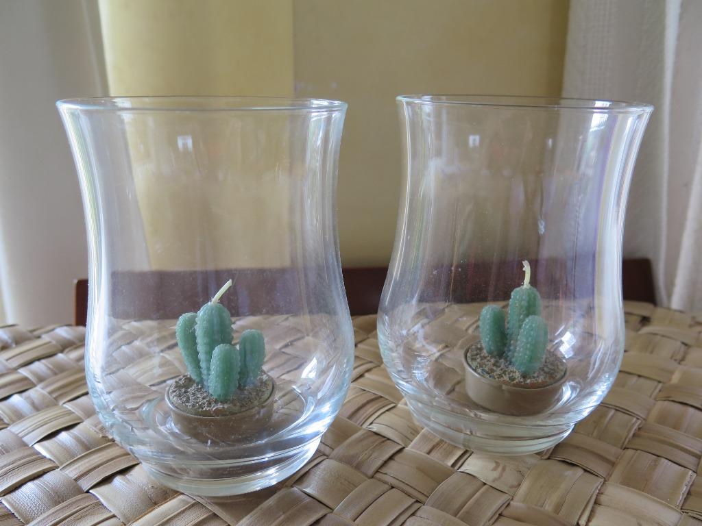 vases avec cactus, Plante verte, Enlèvement, Cactus, Moins de 100 cm