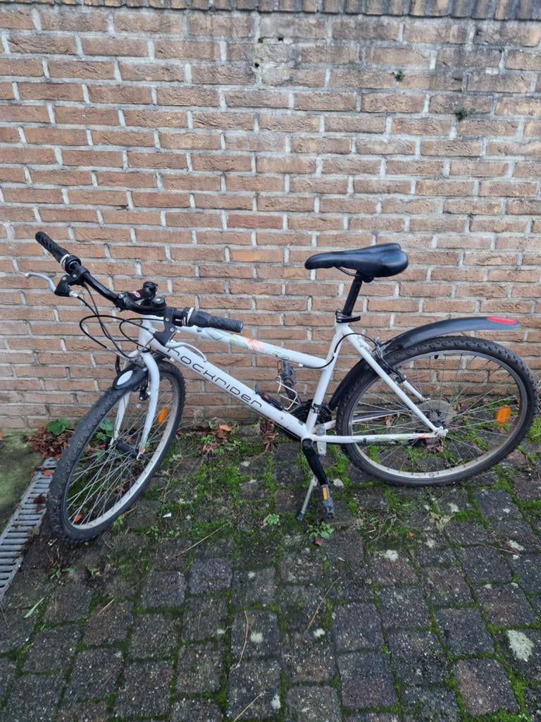 Vélo pour femme, Vélos & Vélomoteurs, Enlèvement, Utilisé, Autres marques