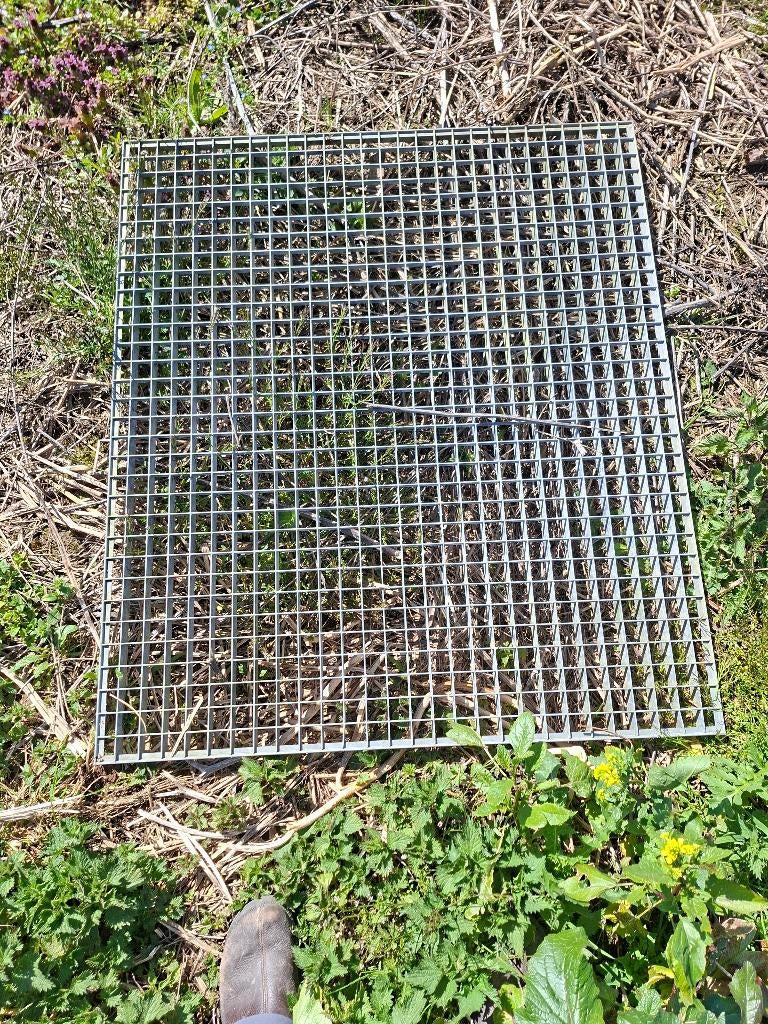 Roosters, Ophalen, Nieuw