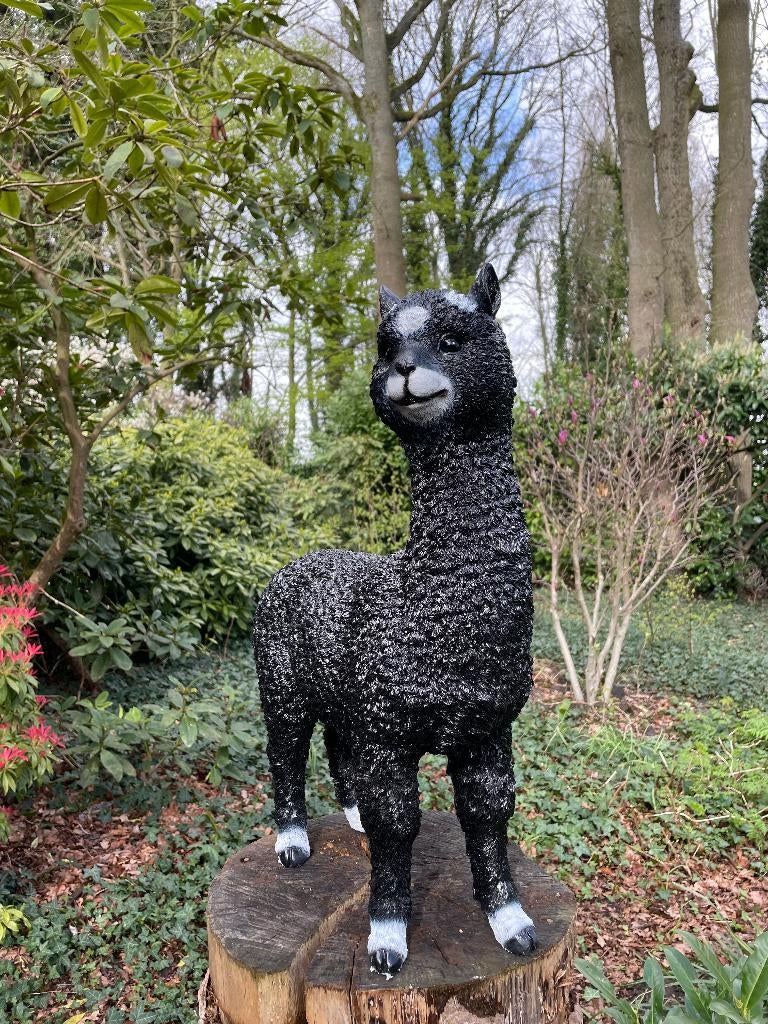 Alpaca, lama, zwart, tuin, gazon, manege, boerderij 55cm, Tuin en Terras, Ophalen, Nieuw, Kunststof, Dierenbeeld