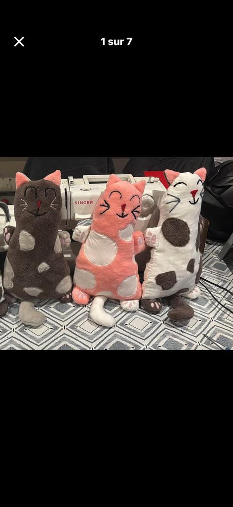 Peluche chat ( doudou chat ), Enlèvement