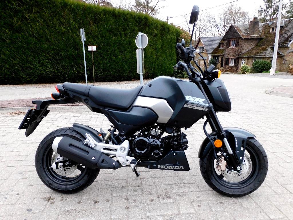 Honda MSX 125 cc, 10/2025, fabrieksgarantie, Motoren, Honda, Bedrijf, 125 cc, 1 cilinder