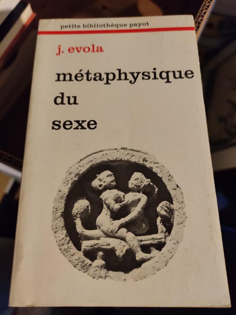 MÉTAPHYSIQUE DU SEXE, Enlèvement ou Envoi