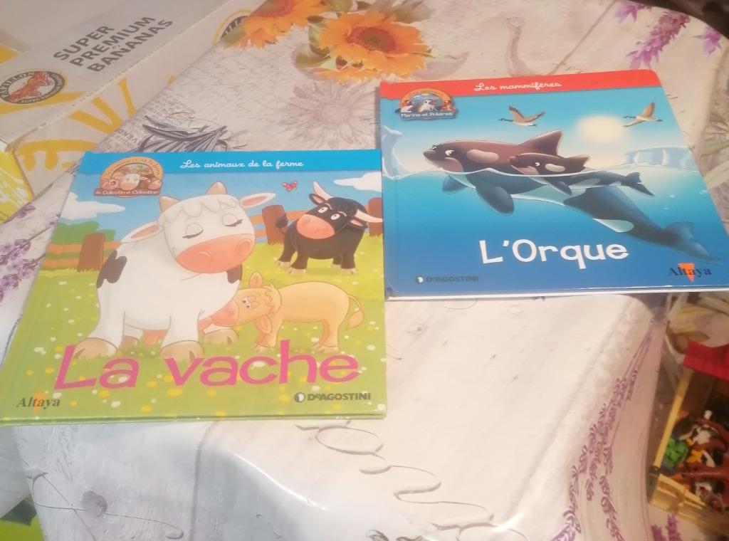 2 livres pour enfant., Livres, Enlèvement ou Envoi, Utilisé