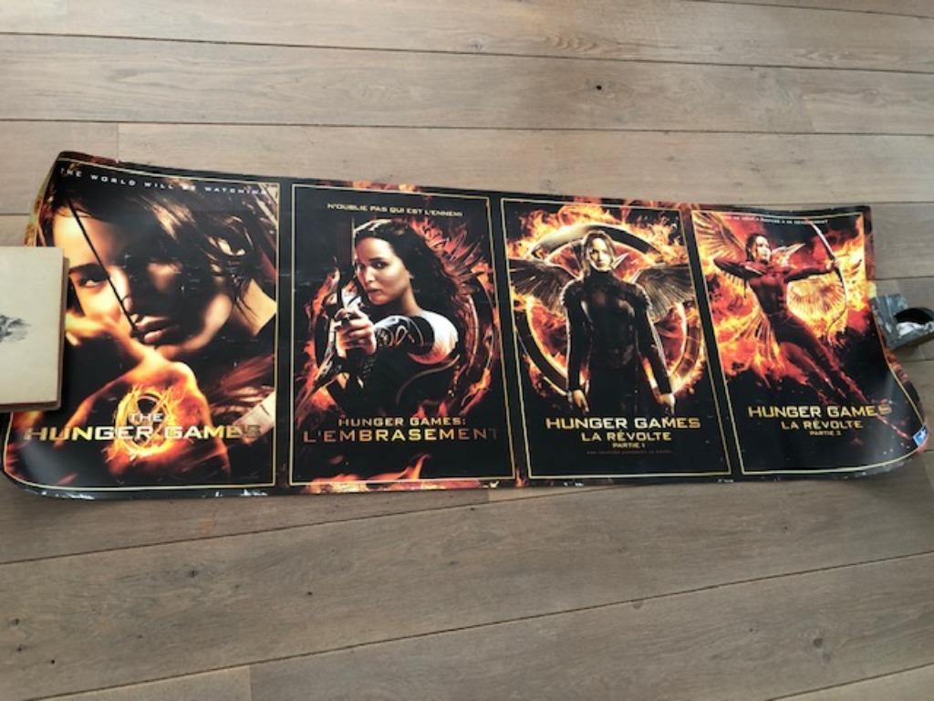 Poster Hunger games, Ophalen of Verzenden