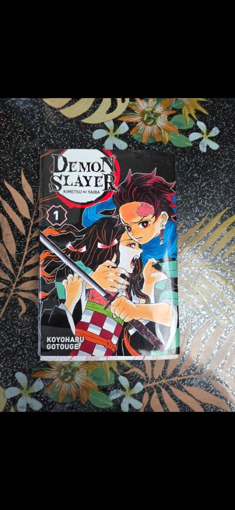 Livre demon slayer neuf, Livres, Enlèvement, Neuf