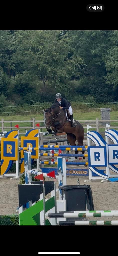 Zadelmak maken, Animaux & Accessoires, Chevaux, Débourré