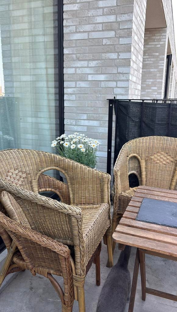 Sfeervolle Rotan Tuinset – Klap Tafel + 2 Stoelen, Tuin en Terras, Ophalen, Zo goed als nieuw, Rotan, Tuinset